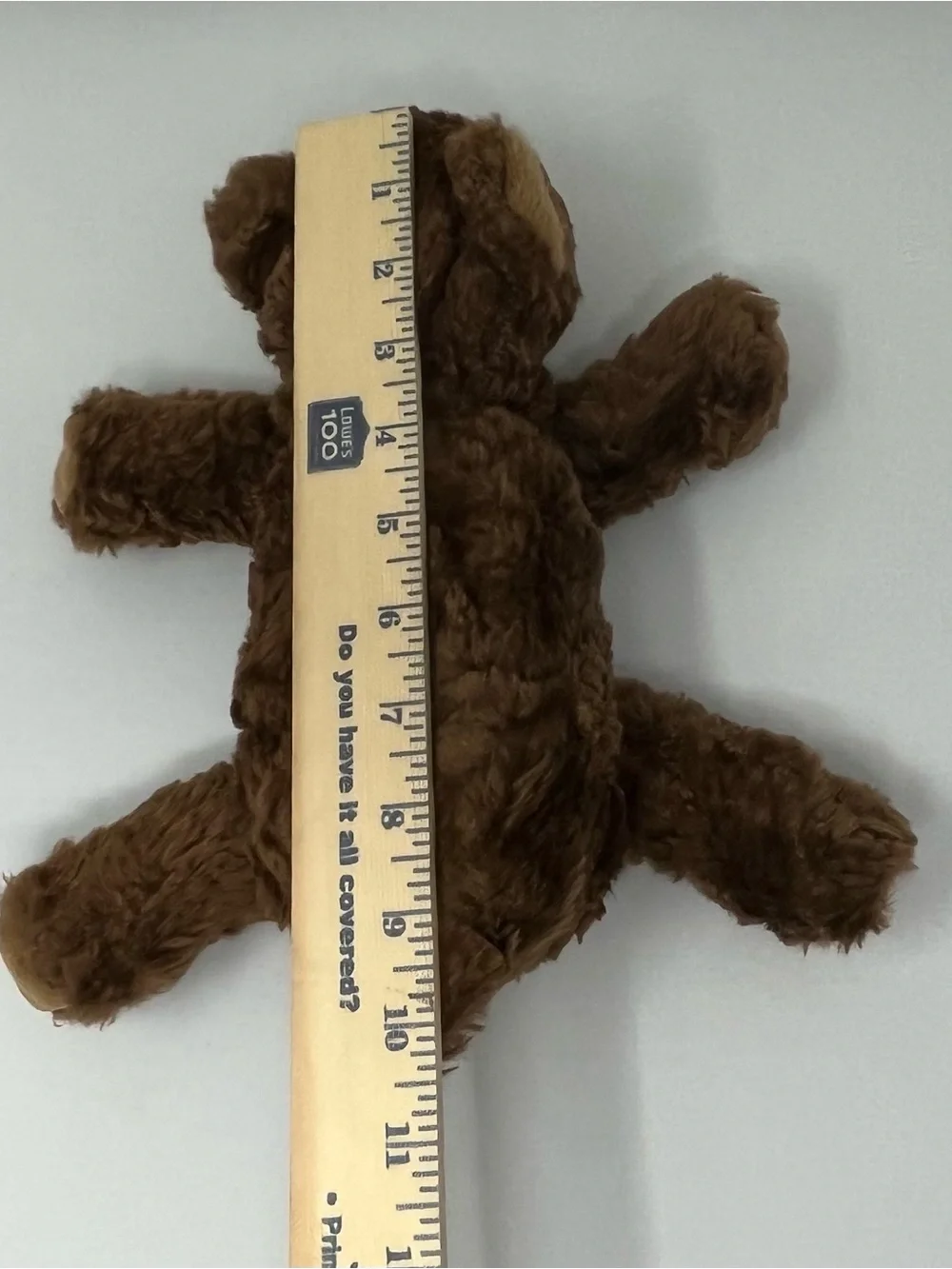 Vintage 1996 TY Cocoa Brown Bear Beanie Buddy Plush Teddy 11” Collectible Cute